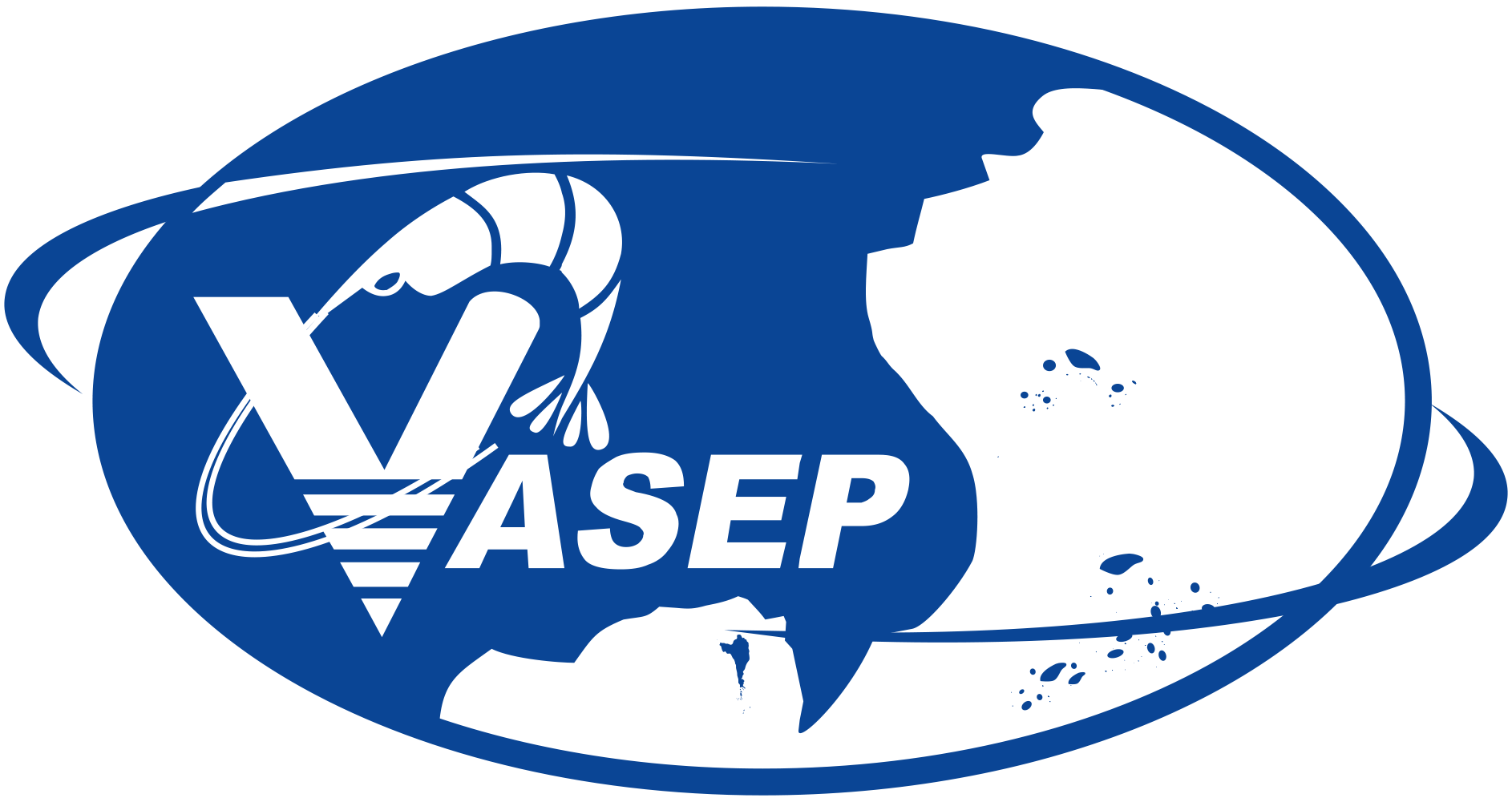 VASEP
